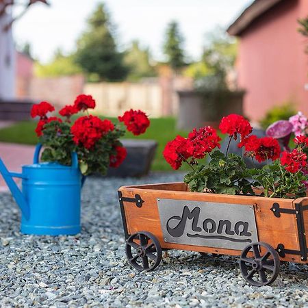 Mona Apartman Sárvár Eksteriør bilde